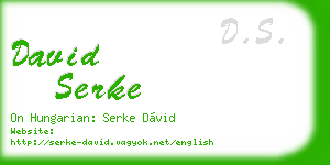 david serke business card